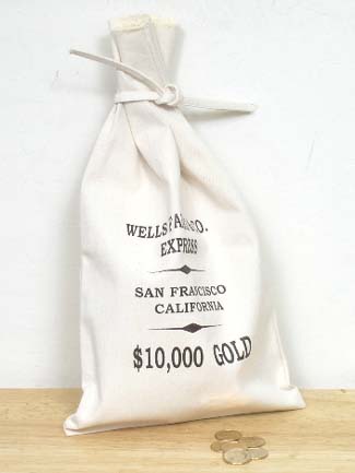 Wells Fargo Express Money Bag