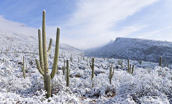 Wild West Mercantile Winter Range Sale