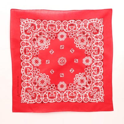 Classic Bandanna