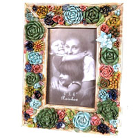 [Western Homegoods Cactus Frame]