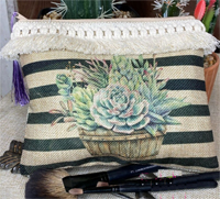 [ Succulents Cosmetic Bag - Black Stripe]