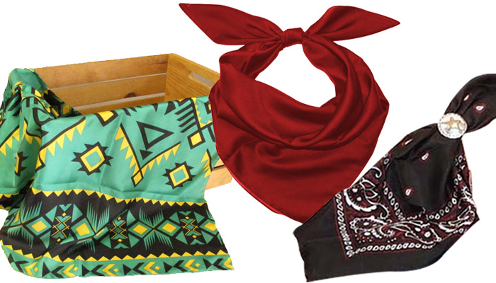 Silk Scarves & Wild Rags